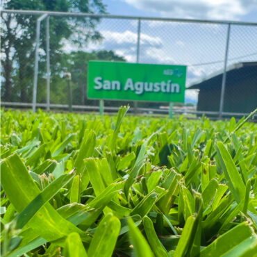 ZACATE SAN AGUSTIN (M²)